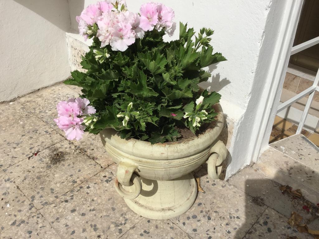 Vila Case Vacanze Le Rose Noto Exteriér fotografie